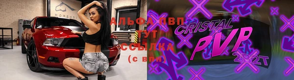 apvp Верея