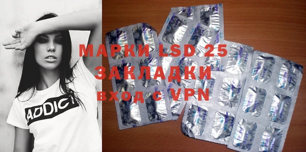 apvp Верея