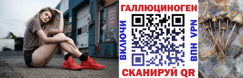 Псилоцибиновые грибы ЛСД  магазин продажи наркотиков  Шагонар 