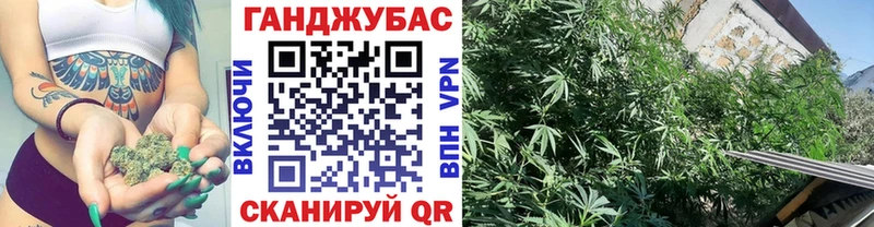 Бошки Шишки индика  как найти закладки  Шагонар 